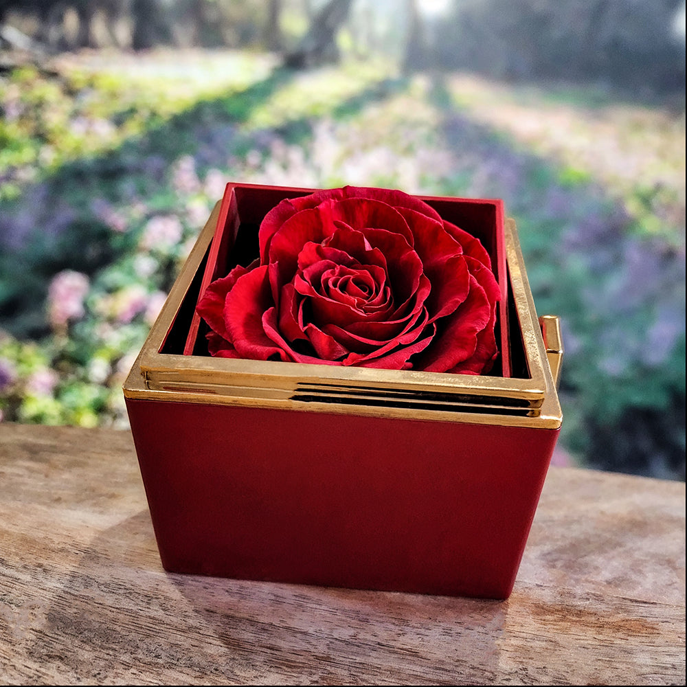 To My Soulmate  – You Make Every Day Better
