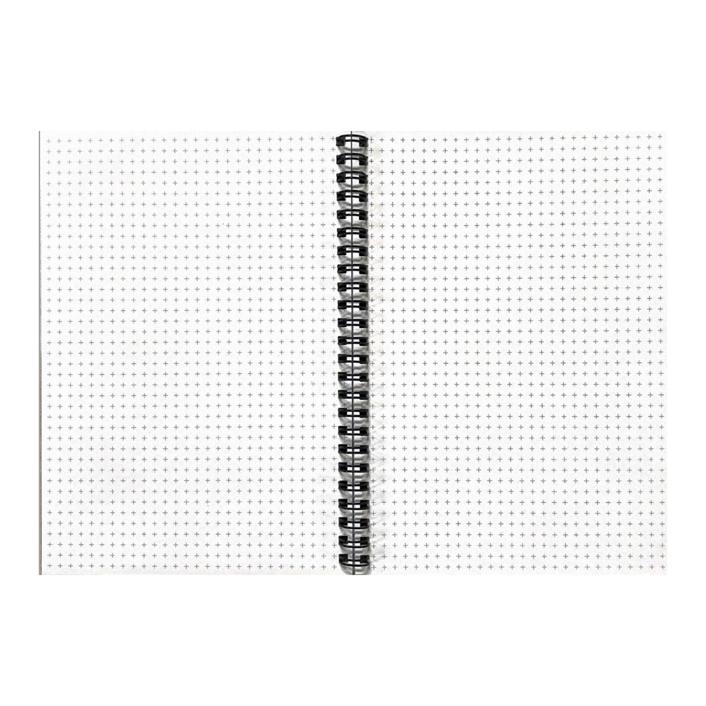 The Explorer's Notebook: Charting Adventures - Giulia's Jems